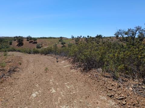 TERRENO COM 840 M2 - COM ÁRVORES - PRÓXIMO DA CORTE DO GAGO - CASTRO MARIM - ALGARVE