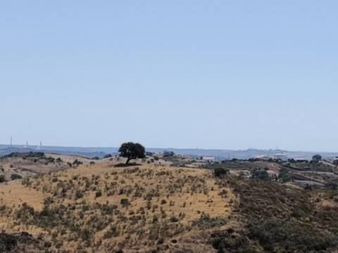 TERRENO COM 15.880 M2 - COM ÁGUA - COM APOIO AGRÍCOLA - ALTURA - CASTRO MARIM - ALGARVE