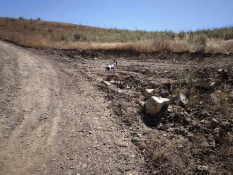 TERRENO COM 15.880 M2 - COM ÁGUA - COM APOIO AGRÍCOLA - ALTURA - CASTRO MARIM - ALGARVE