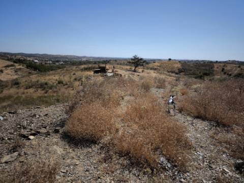 TERRENO COM 15.880 M2 - COM ÁGUA - COM APOIO AGRÍCOLA - ALTURA - CASTRO MARIM - ALGARVE