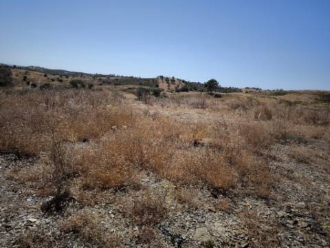 TERRENO COM 15.880 M2 - COM ÁGUA - COM APOIO AGRÍCOLA - ALTURA - CASTRO MARIM - ALGARVE