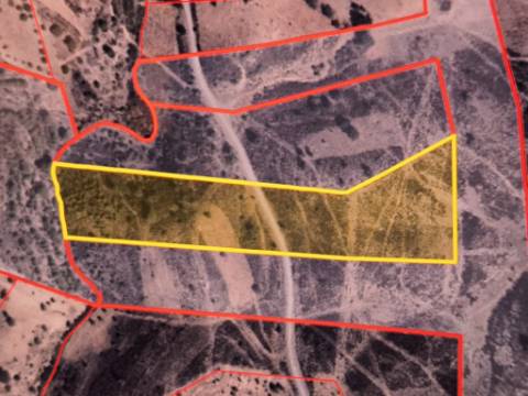 TERRENO COM 15.880 M2 - COM ÁGUA - COM APOIO AGRÍCOLA - ALTURA - CASTRO MARIM - ALGARVE