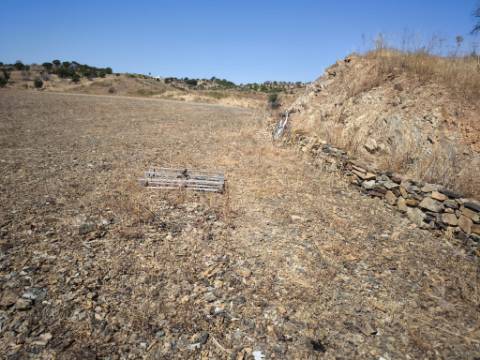 TERRENO COM 15.880 M2 - COM ÁGUA - COM APOIO AGRÍCOLA - ALTURA - CASTRO MARIM - ALGARVE