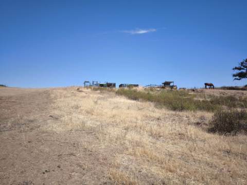 TERRENO COM 15.880 M2 - COM ÁGUA - COM APOIO AGRÍCOLA - ALTURA - CASTRO MARIM - ALGARVE