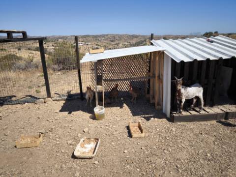 TERRENO COM 15.880 M2 - COM ÁGUA - COM APOIO AGRÍCOLA - ALTURA - CASTRO MARIM - ALGARVE
