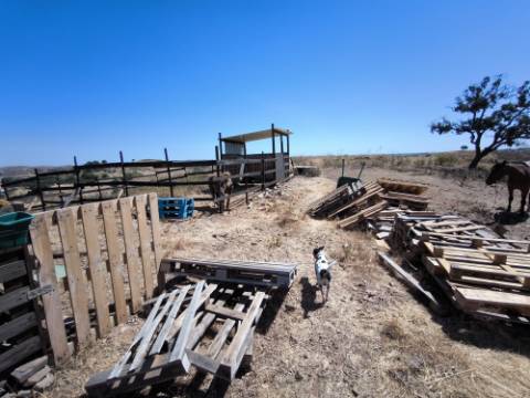 TERRENO COM 15.880 M2 - COM ÁGUA - COM APOIO AGRÍCOLA - ALTURA - CASTRO MARIM - ALGARVE