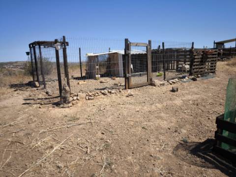 TERRENO COM 15.880 M2 - COM ÁGUA - COM APOIO AGRÍCOLA - ALTURA - CASTRO MARIM - ALGARVE