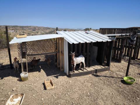 TERRENO COM 15.880 M2 - COM ÁGUA - COM APOIO AGRÍCOLA - ALTURA - CASTRO MARIM - ALGARVE