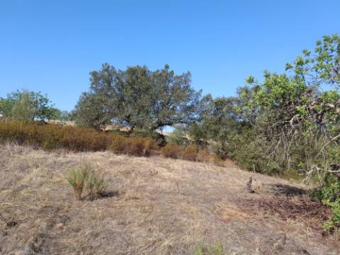TERRENO COM 7.200 M2 - PRÓXIMO DA VILA ALDEIA - JUNTO AO CENTRO DO AZINHAL - CASTRO MARIM - ALGARVE