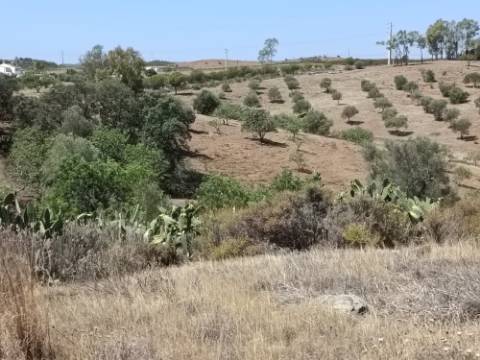 TERRENO COM 7.200 M2 - PRÓXIMO DA VILA ALDEIA - JUNTO AO CENTRO DO AZINHAL - CASTRO MARIM - ALGARVE