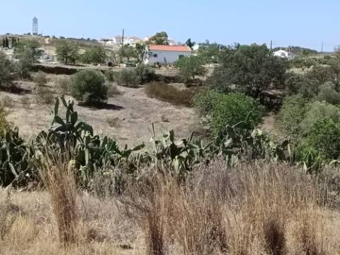 TERRENO COM 7.200 M2 - PRÓXIMO DA VILA ALDEIA - JUNTO AO CENTRO DO AZINHAL - CASTRO MARIM - ALGARVE