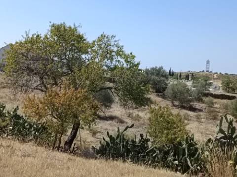 TERRENO COM 7.200 M2 - PRÓXIMO DA VILA ALDEIA - JUNTO AO CENTRO DO AZINHAL - CASTRO MARIM - ALGARVE