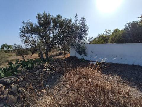 TERRENO COM 7.200 M2 - PRÓXIMO DA VILA ALDEIA - JUNTO AO CENTRO DO AZINHAL - CASTRO MARIM - ALGARVE