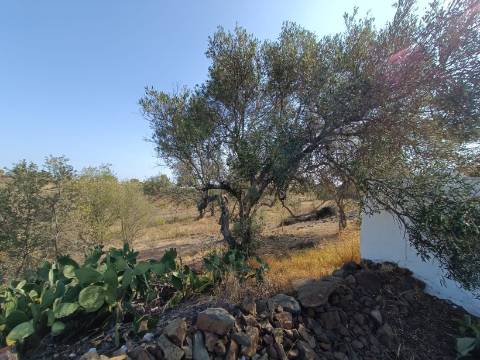TERRENO COM 7.200 M2 - PRÓXIMO DA VILA ALDEIA - JUNTO AO CENTRO DO AZINHAL - CASTRO MARIM - ALGARVE