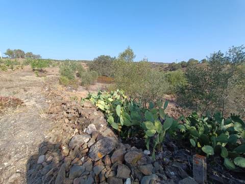 TERRENO COM 7.200 M2 - PRÓXIMO DA VILA ALDEIA - JUNTO AO CENTRO DO AZINHAL - CASTRO MARIM - ALGARVE