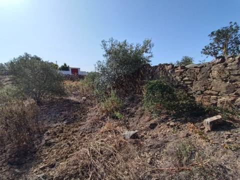 TERRENO COM 7.200 M2 - PRÓXIMO DA VILA ALDEIA - JUNTO AO CENTRO DO AZINHAL - CASTRO MARIM - ALGARVE