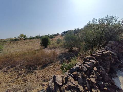 TERRENO COM 7.200 M2 - PRÓXIMO DA VILA ALDEIA - JUNTO AO CENTRO DO AZINHAL - CASTRO MARIM - ALGARVE