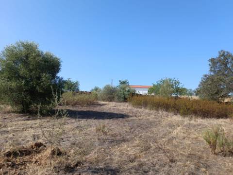 TERRENO COM 7.200 M2 - PRÓXIMO DA VILA ALDEIA - JUNTO AO CENTRO DO AZINHAL - CASTRO MARIM - ALGARVE