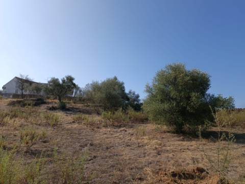 TERRENO COM 7.200 M2 - PRÓXIMO DA VILA ALDEIA - JUNTO AO CENTRO DO AZINHAL - CASTRO MARIM - ALGARVE