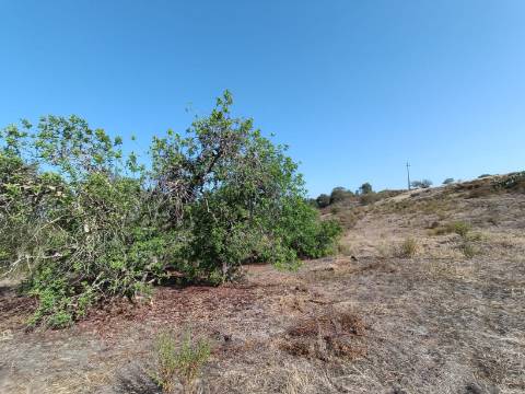 TERRENO COM 7.200 M2 - PRÓXIMO DA VILA ALDEIA - JUNTO AO CENTRO DO AZINHAL - CASTRO MARIM - ALGARVE