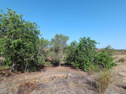 TERRENO COM 7.200 M2 - PRÓXIMO DA VILA ALDEIA - JUNTO AO CENTRO DO AZINHAL - CASTRO MARIM - ALGARVE
