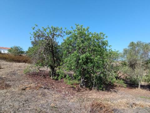 TERRENO COM 7.200 M2 - PRÓXIMO DA VILA ALDEIA - JUNTO AO CENTRO DO AZINHAL - CASTRO MARIM - ALGARVE