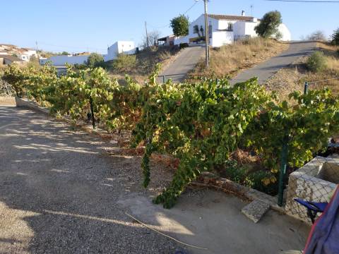MORADIA V3 COM GARAGEM VINHA EIRA E TERRENO COM 2100 m2 - NA ALDEIA DA CORTE DO GAGO - CASTRO MARIM - ALGARVE