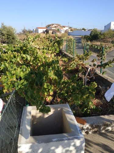 MORADIA V3 COM GARAGEM VINHA EIRA E TERRENO COM 2100 m2 - NA ALDEIA DA CORTE DO GAGO - CASTRO MARIM - ALGARVE