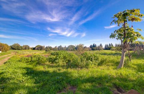 Exclusiva Quinta Tradicional Algarvia com Potencial de Desenvolvimento - Vila Nova de Cacela