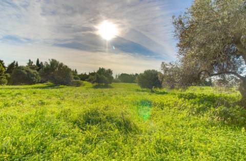 Exclusiva Quinta Tradicional Algarvia com Potencial de Desenvolvimento - Vila Nova de Cacela