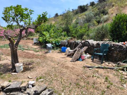 TERRENO COM 9.550 M2 - COM POÇO - NA CARRAPATEIRA EM TAVIRA - ALGARVE