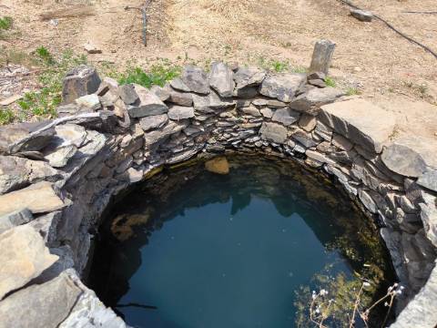 TERRENO COM 9.550 M2 - COM POÇO - NA CARRAPATEIRA EM TAVIRA - ALGARVE