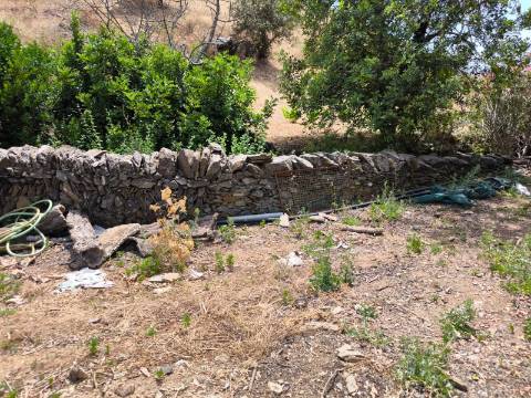 TERRENO COM 9.550 M2 - COM POÇO - NA CARRAPATEIRA EM TAVIRA - ALGARVE