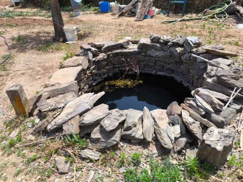 TERRENO COM 9.550 M2 - COM POÇO - NA CARRAPATEIRA EM TAVIRA - ALGARVE