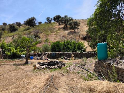 TERRENO COM 9.550 M2 - COM POÇO - NA CARRAPATEIRA EM TAVIRA - ALGARVE