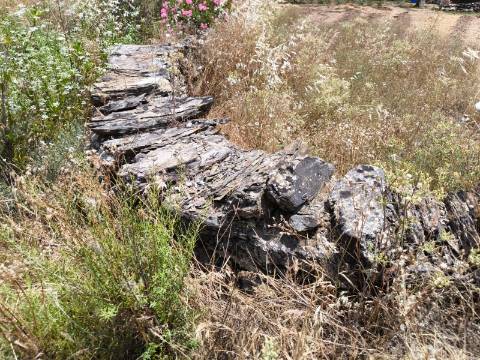 TERRENO COM 9.550 M2 - COM POÇO - NA CARRAPATEIRA EM TAVIRA - ALGARVE