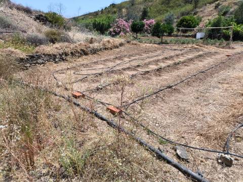 TERRENO COM 9.550 M2 - COM POÇO - NA CARRAPATEIRA EM TAVIRA - ALGARVE