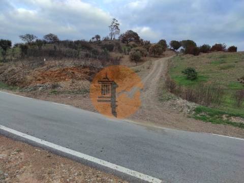 TERRENO COM 9.550 M2 - COM POÇO - NA CARRAPATEIRA EM TAVIRA - ALGARVE