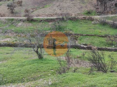 TERRENO COM 9.550 M2 - COM POÇO - NA CARRAPATEIRA EM TAVIRA - ALGARVE