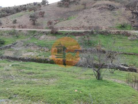 TERRENO COM 9.550 M2 - COM POÇO - NA CARRAPATEIRA EM TAVIRA - ALGARVE