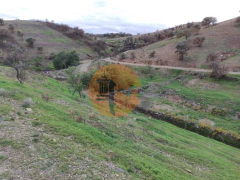 TERRENO COM 9.550 M2 - COM POÇO - NA CARRAPATEIRA EM TAVIRA - ALGARVE