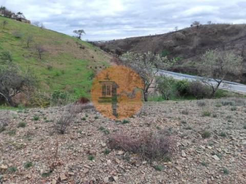 TERRENO COM 9.550 M2 - COM POÇO - NA CARRAPATEIRA EM TAVIRA - ALGARVE