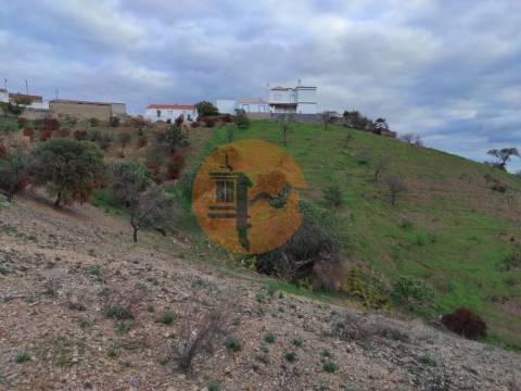 TERRENO COM 9.550 M2 - COM POÇO - NA CARRAPATEIRA EM TAVIRA - ALGARVE