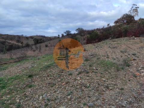 TERRENO COM 9.550 M2 - COM POÇO - NA CARRAPATEIRA EM TAVIRA - ALGARVE