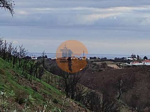 TERRENO COM 9.550 M2 - COM POÇO - NA CARRAPATEIRA EM TAVIRA - ALGARVE