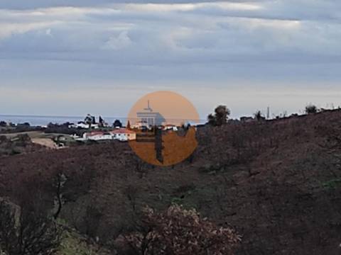 TERRENO COM 9.550 M2 - COM POÇO - NA CARRAPATEIRA EM TAVIRA - ALGARVE