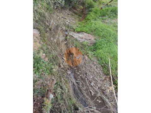 TERRENO COM 9.550 M2 - COM POÇO - NA CARRAPATEIRA EM TAVIRA - ALGARVE