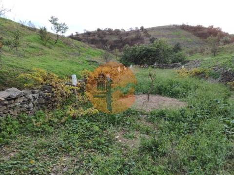 TERRENO COM 9.550 M2 - COM POÇO - NA CARRAPATEIRA EM TAVIRA - ALGARVE