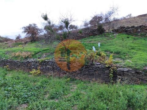 TERRENO COM 9.550 M2 - COM POÇO - NA CARRAPATEIRA EM TAVIRA - ALGARVE