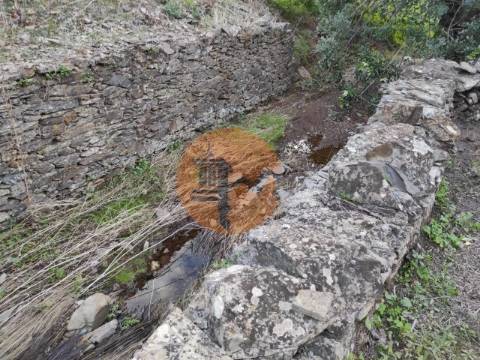 TERRENO COM 9.550 M2 - COM POÇO - NA CARRAPATEIRA EM TAVIRA - ALGARVE